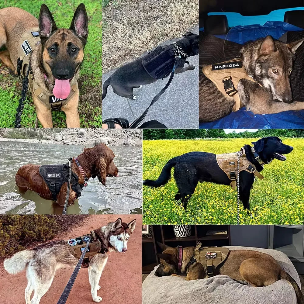 Tactical Dog Harness Vest With Leash Patches And Sunglasses