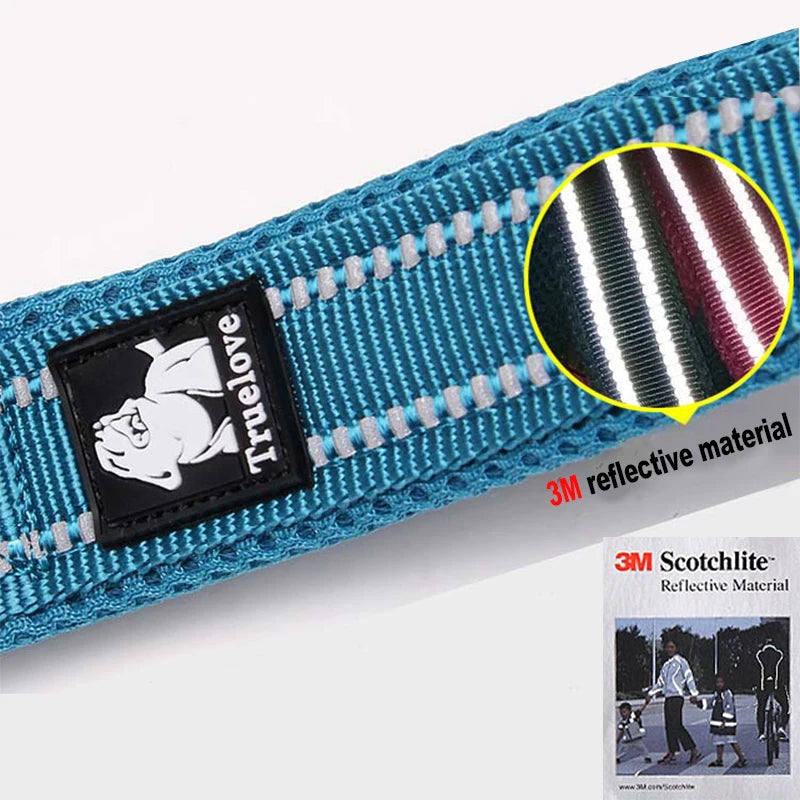 Winhyepet Padded Handle Dog Leash Durable Training