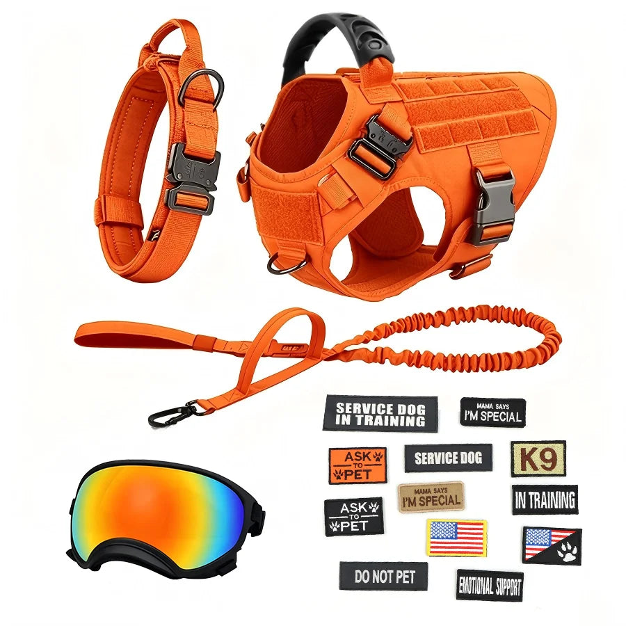 Tactical Dog Harness Vest With Leash Patches And Sunglasses