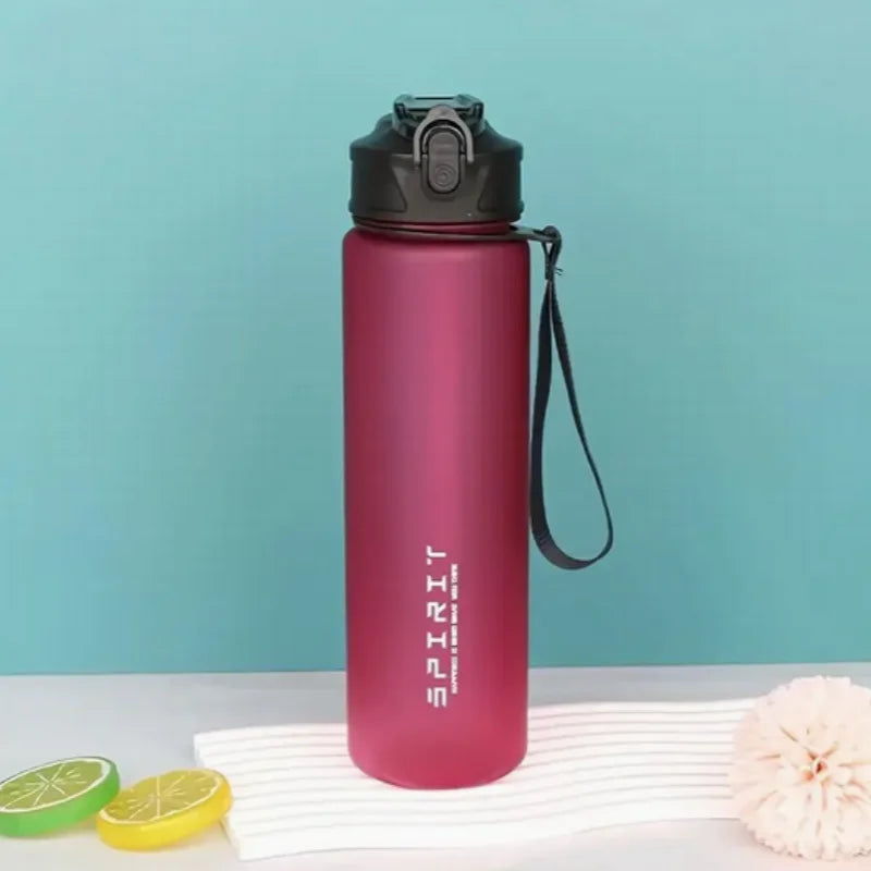 Leak-Proof BPA-Free PC Insulated Sports Water Bottle With Straw
