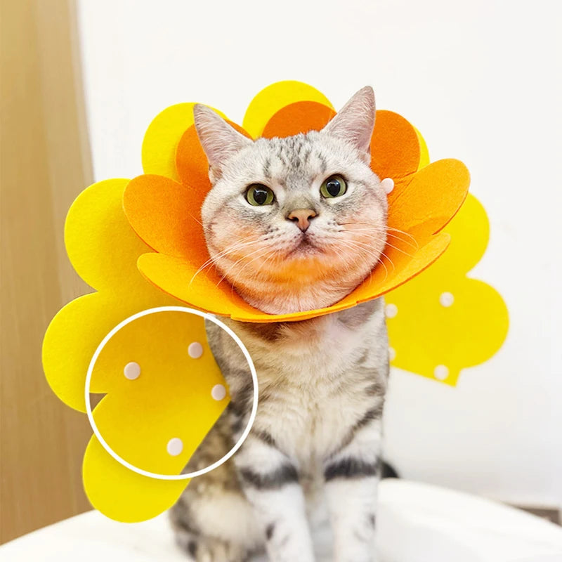 Pet Protective Collar Cone For Dogs And Cats Wound Healing