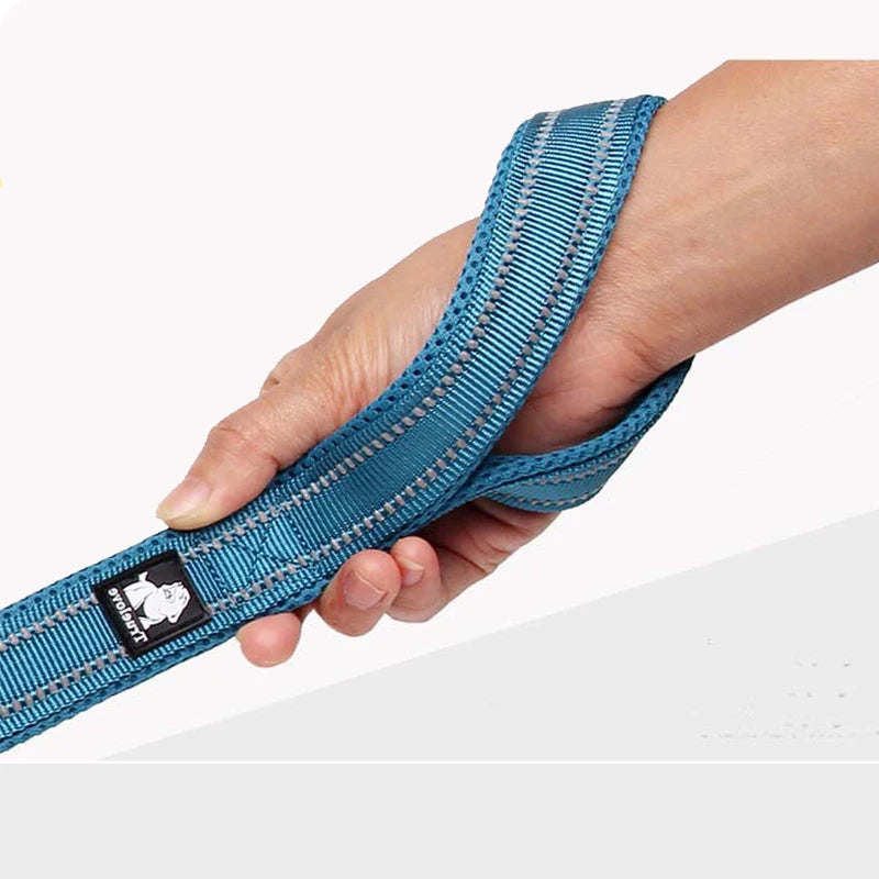 Winhyepet Padded Handle Dog Leash Durable Training