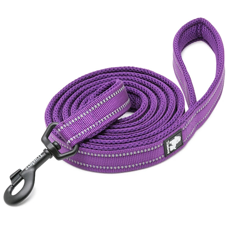Winhyepet Padded Handle Dog Leash Durable Training