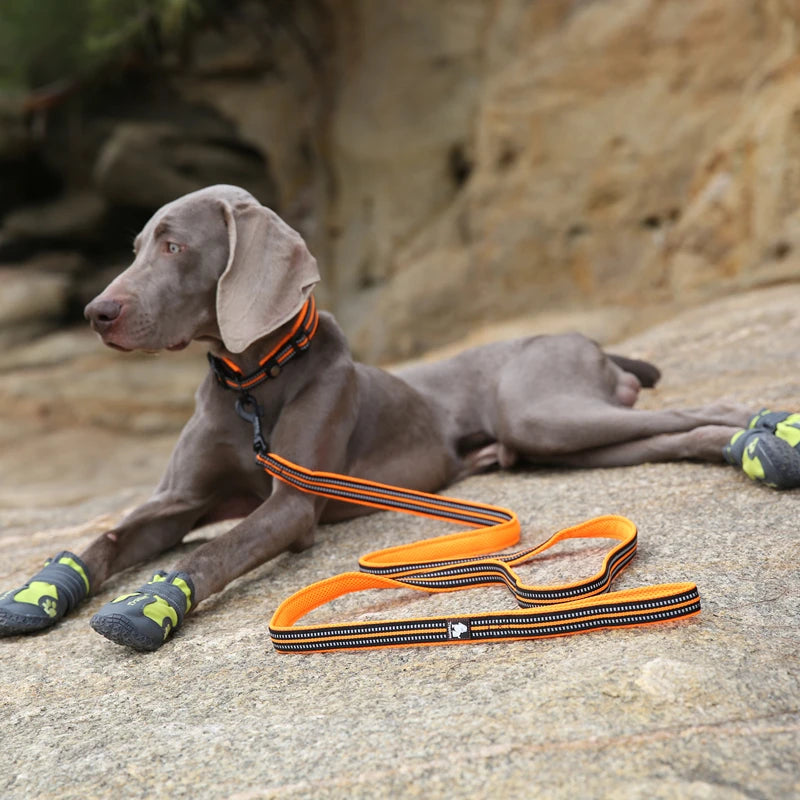 Winhyepet Padded Handle Dog Leash Durable Training
