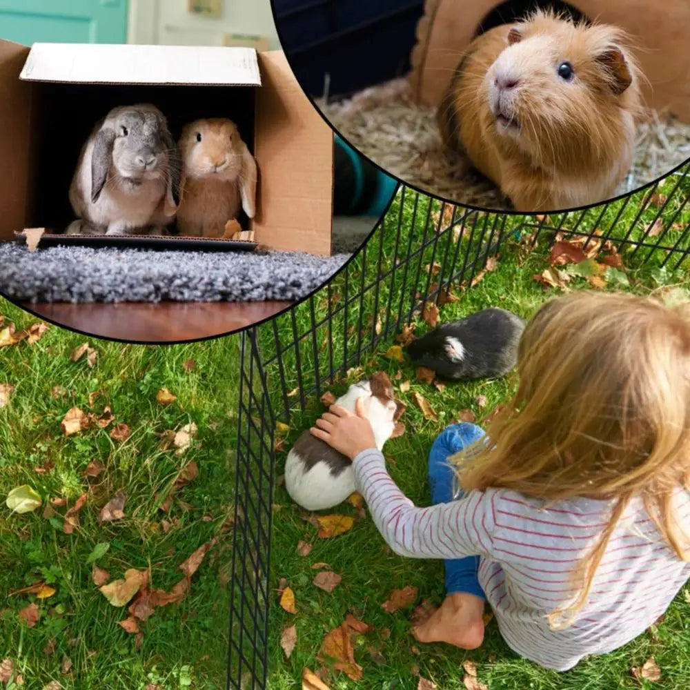 Portable Metal Dog Exercise Playpen With Access Door