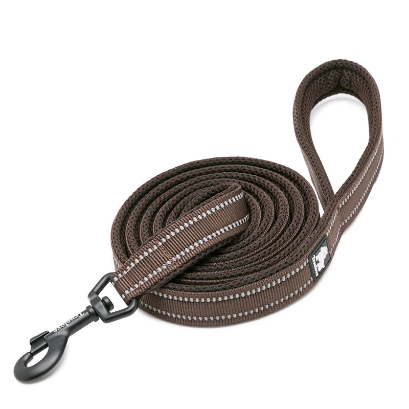 Winhyepet Padded Handle Dog Leash Durable Training