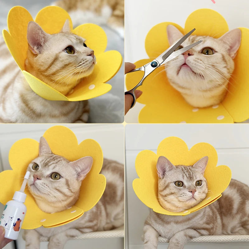 Pet Protective Collar Cone For Dogs And Cats Wound Healing