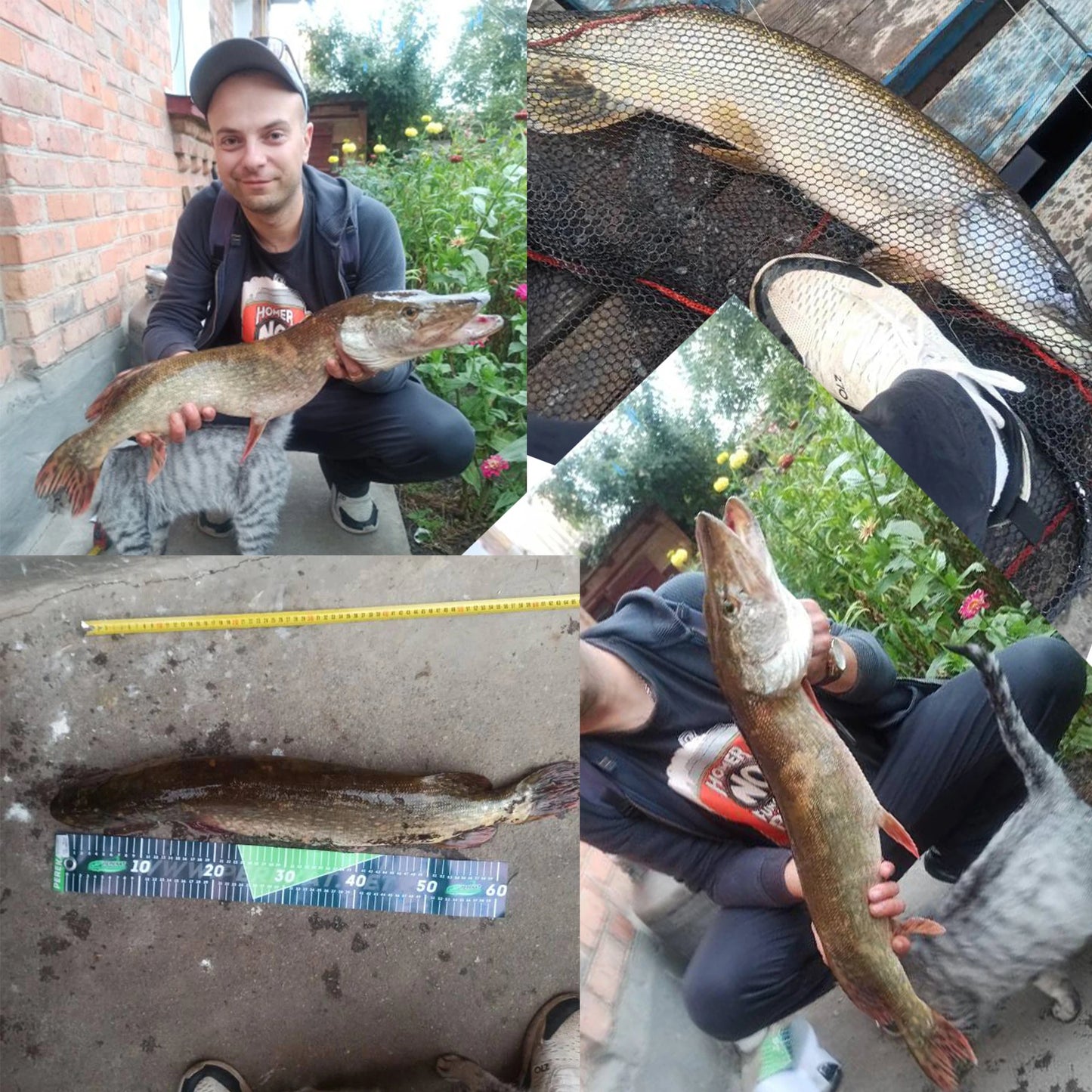 BIUTIFU BigFish Carp Surfcasting Rod Carbon Fast Action