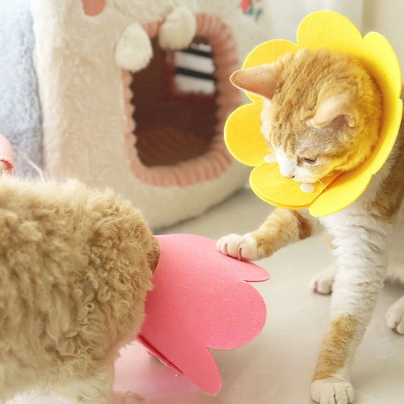 Pet Protective Collar Cone For Dogs And Cats Wound Healing