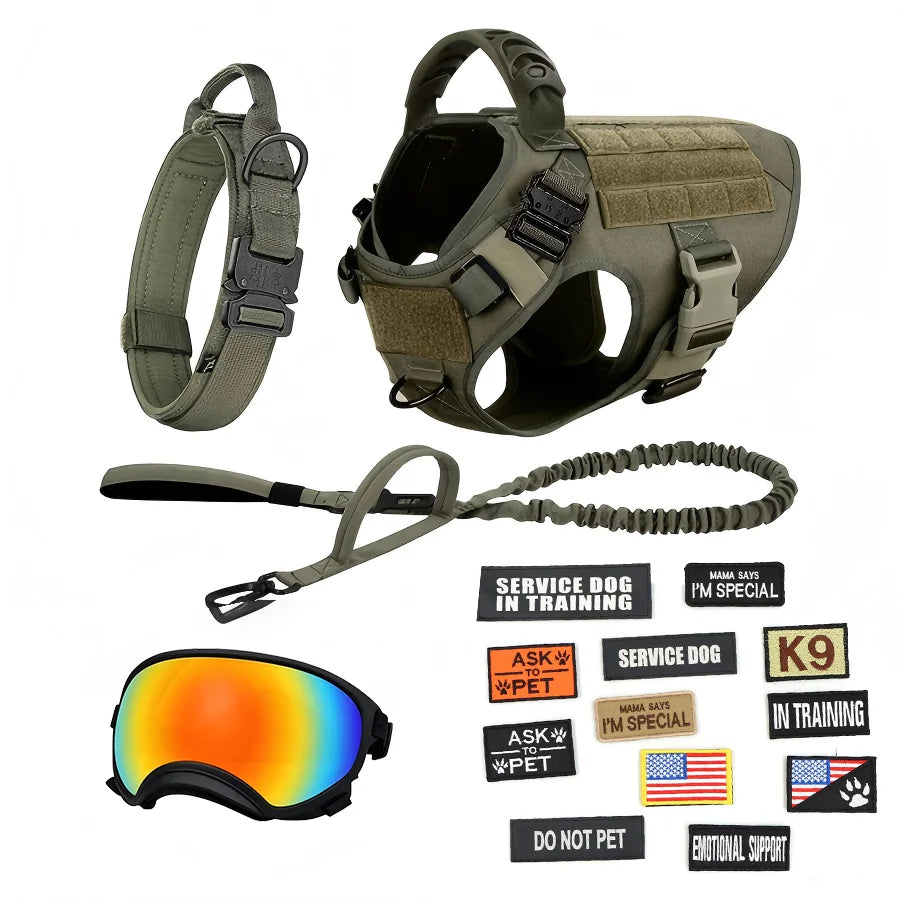 Tactical Dog Harness Vest With Leash Patches And Sunglasses