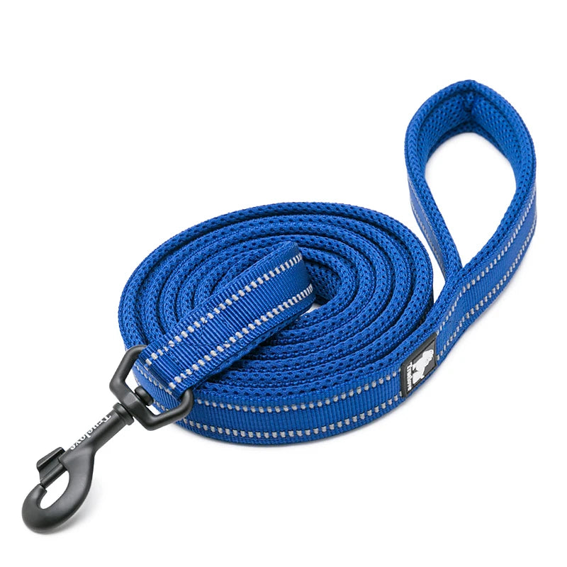 Winhyepet Padded Handle Dog Leash Durable Training