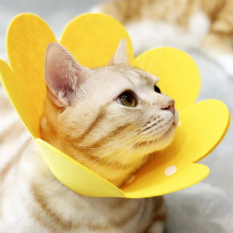 Pet Protective Collar Cone For Dogs And Cats Wound Healing