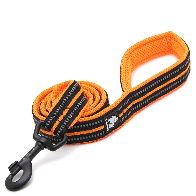 Winhyepet Padded Handle Dog Leash Durable Training