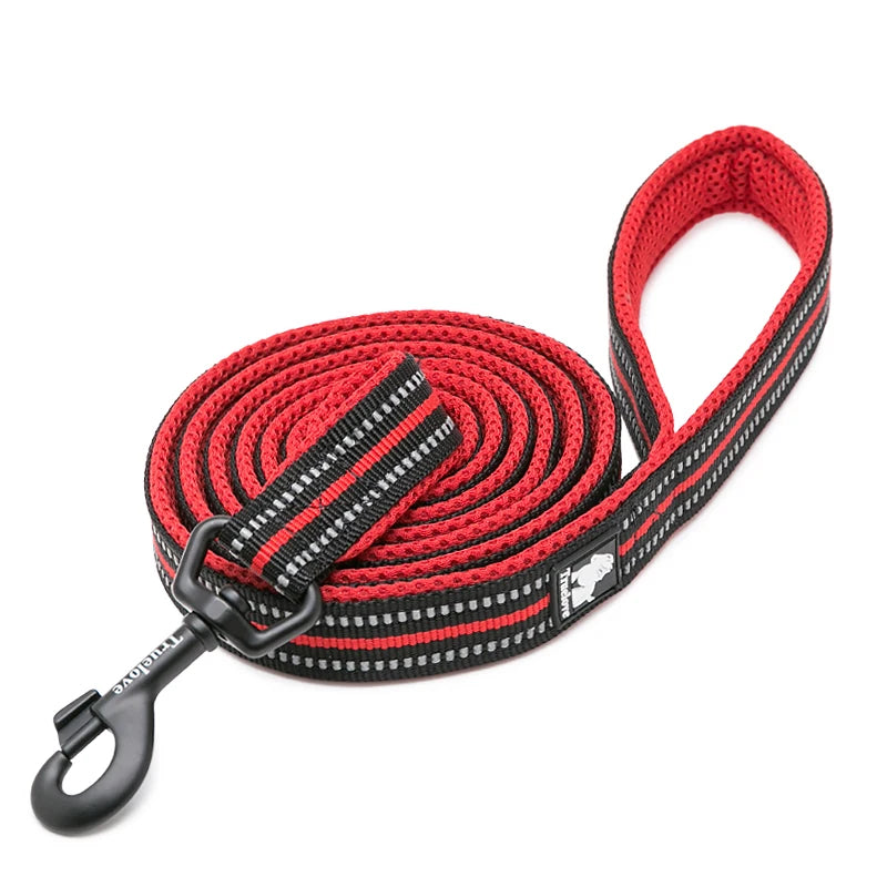 Winhyepet Padded Handle Dog Leash Durable Training