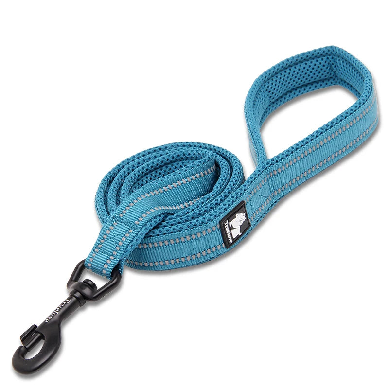 Winhyepet Padded Handle Dog Leash Durable Training