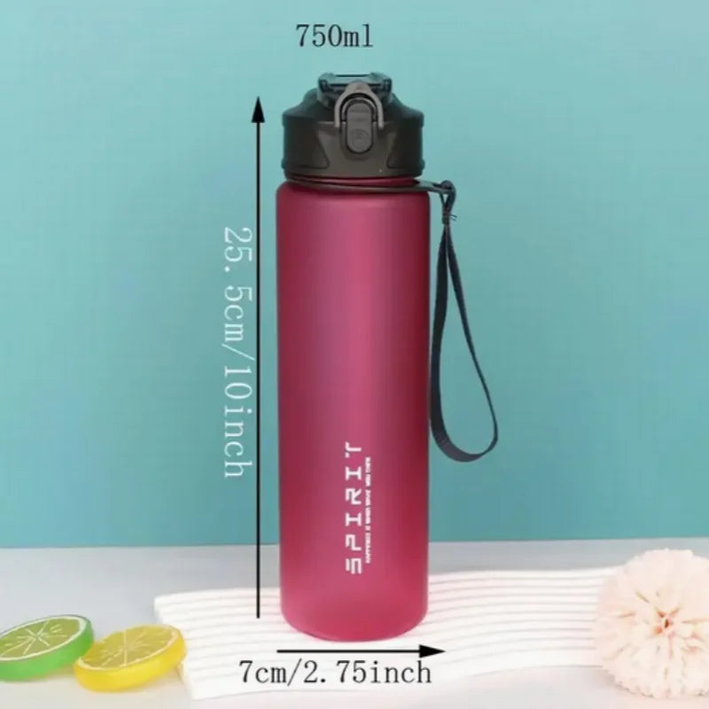 Leak-Proof BPA-Free PC Insulated Sports Water Bottle With Straw
